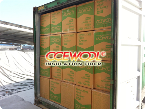 Photo of the container taken by Lansing and Marvin when finish loading