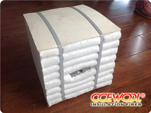 South Africa customer and ceramic fiber module South Africa customer and ceramic fiber module