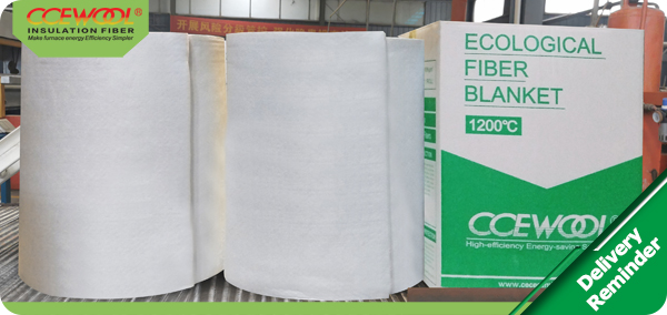bio-soluble-ceramic-fiber-blanket-1.jpg