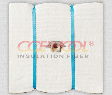 1500MX Fiber Module